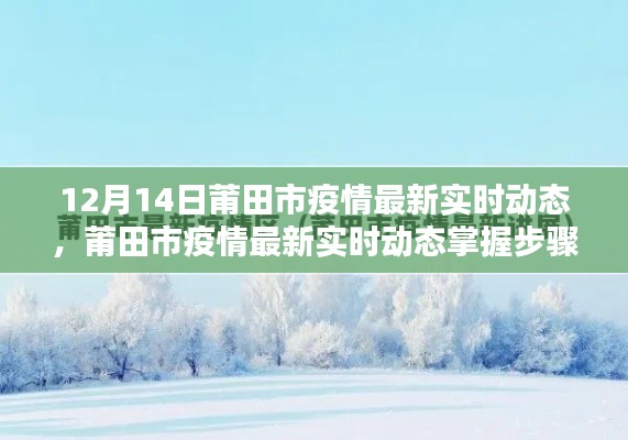 莆田市疫情最新實(shí)時(shí)動(dòng)態(tài)指南，初學(xué)者與進(jìn)階用戶(hù)均可掌握的步驟（12月14日更新）