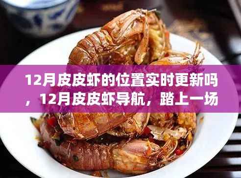 12月皮皮蝦導(dǎo)航，開啟海洋探索之旅，實時定位尋找內(nèi)心平靜的港灣