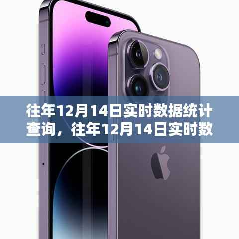 往年12月14日實時數(shù)據(jù)統(tǒng)計查詢手冊及步驟指南