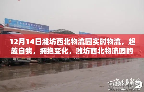 濰坊西北物流園啟示錄，超越自我，擁抱變化，實(shí)時物流新篇章