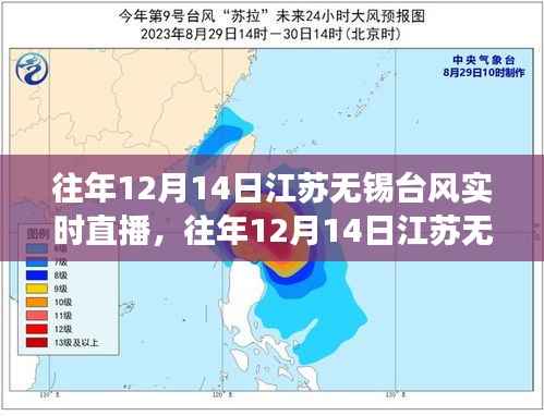 江蘇無錫臺風(fēng)實時直播回顧，城市應(yīng)對與公眾關(guān)注聚焦的氣象災(zāi)害探討