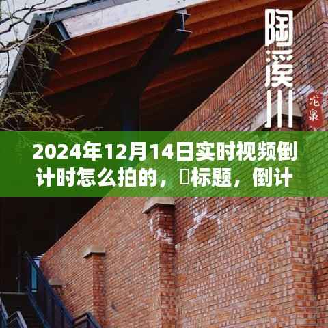 倒計時狂歡！探尋特色小店，2024年12月14日實時視頻盛宴