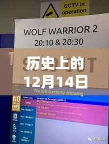 淘票票中的戰(zhàn)狼傳奇，與自然美景相遇，探尋內(nèi)心寧?kù)o的歷史時(shí)刻——淘票票實(shí)時(shí)票房回顧與解析