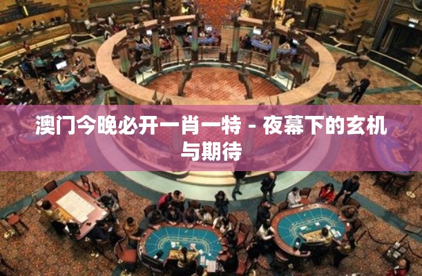澳門今晚必開一肖一特 - 夜幕下的玄機(jī)與期待