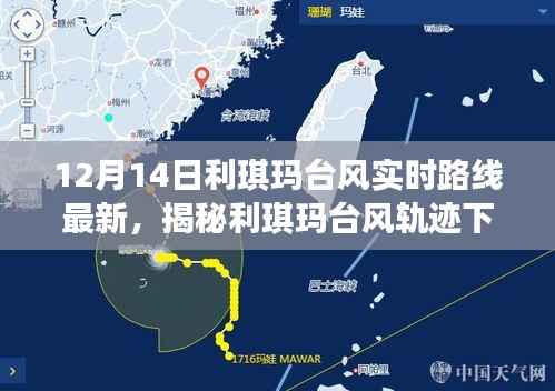 揭秘利琪瑪臺(tái)風(fēng)軌跡下的隱藏寶藏，特色小店的獨(dú)特風(fēng)情與實(shí)時(shí)路線追蹤（最新更新）