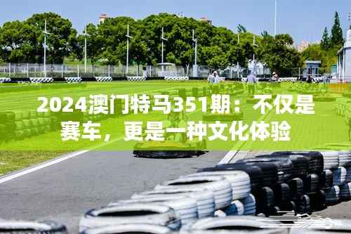 2024澳門特馬351期：不僅是賽車，更是一種文化體驗(yàn)