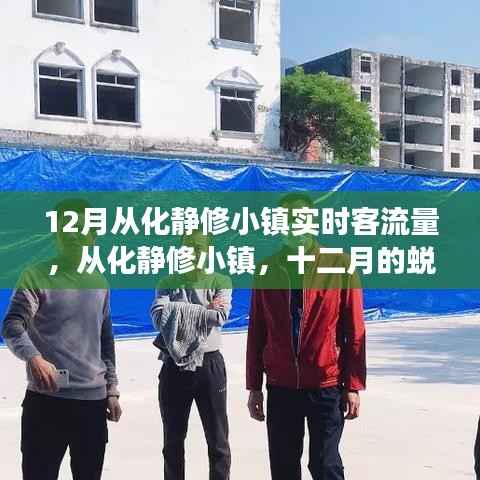 12月從化靜修小鎮(zhèn)實時客流量揭秘，蛻變與重塑之旅的勵志故事