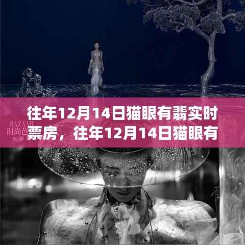 揭秘往年12月14日貓眼有翡實時票房，數(shù)據(jù)背后的爭議與觀點洞察