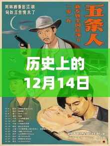 全新冠時(shí)代下的自然秘境之旅，歷史上的十二月十四日回顧與實(shí)時(shí)動(dòng)態(tài)