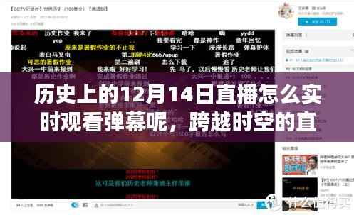 歷史直播新視角，實(shí)時(shí)彈幕互動(dòng)與跨越時(shí)空的啟示，激發(fā)自信與成就的力量之源
