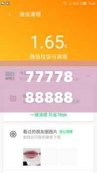 7777888888管家精準(zhǔn)管家婆免費(fèi)351期,全面數(shù)據(jù)解析執(zhí)行_MP2.567