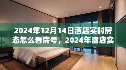 掌握房態(tài)信息，2024年酒店實(shí)時(shí)房態(tài)查看攻略與房號(hào)信息獲取技巧
