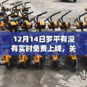 羅平市12月14日車輛實時免費上牌信息解讀