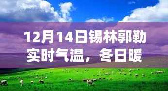 12月14日錫林郭勒氣溫記錄，冬日暖陽(yáng)下的溫情時(shí)光