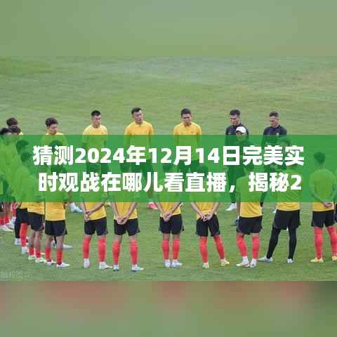 揭秘預(yù)測，2024年12月14日直播觀戰(zhàn)最佳平臺及實時觀戰(zhàn)直播鏈接猜想