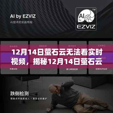 揭秘，12月14日螢石云無法觀看實(shí)時(shí)視頻的背后原因與解決方案