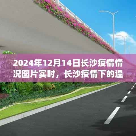 長沙疫情下的溫馨日常,照片背后的溫暖故事