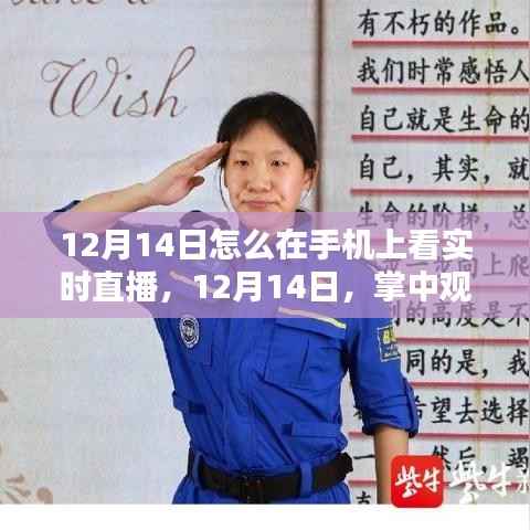 12月14日手機直播攻略，掌中觀世界，與自然美景實時邂逅