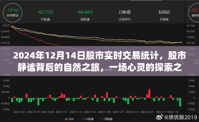 股市靜謐背后的探索之旅，2024年12月14日股市實時交易統(tǒng)計與心靈探索
