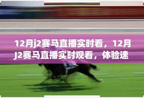 12月J2賽馬直播，速度與激情的實時盛宴