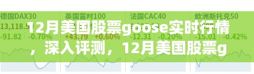 12月美國(guó)股票Goose實(shí)時(shí)行情深度解析與應(yīng)用指南