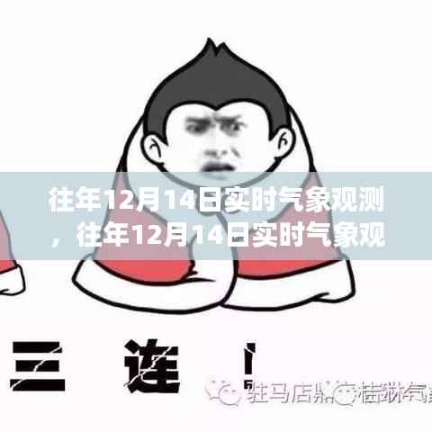 往年12月14日實(shí)時(shí)氣象觀測深度探討及其意義與影響分析