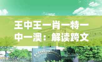 王中王一肖一特一中一澳：解讀跨文化合作與創(chuàng)新的典范