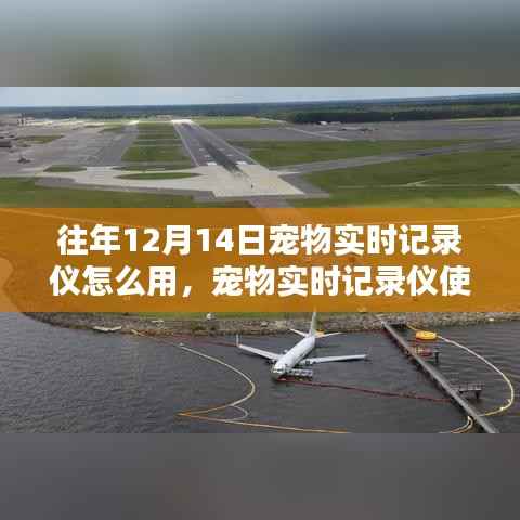 寵物實(shí)時(shí)記錄儀使用指南，針對初學(xué)者與進(jìn)階用戶的詳細(xì)步驟，往年12月14日使用教程