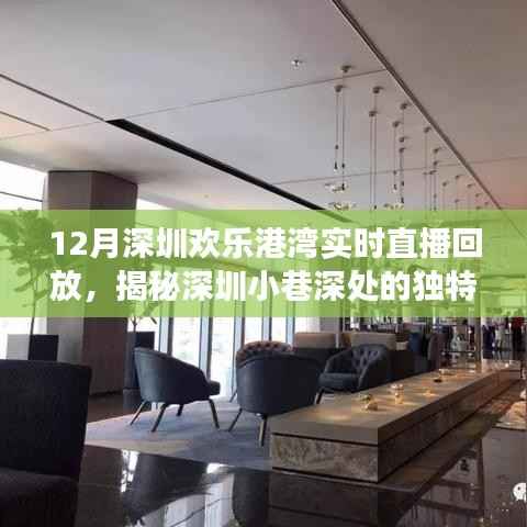 揭秘深圳小巷深處的獨(dú)特風(fēng)味，歡樂港灣美食秘境直播回顧與回放