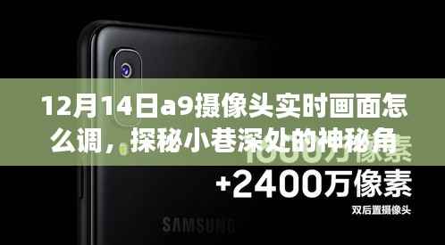 探秘小巷深處的神秘角落，揭秘如何在12月14日調(diào)整a9攝像頭實(shí)時(shí)畫面攻略