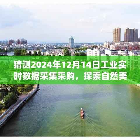未來之旅的工業(yè)實時數(shù)據(jù)采集采購，探索自然美景與內(nèi)心寧靜之旅的預測與展望