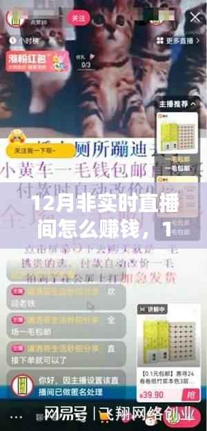 12月非實時直播間盈利攻略，開啟賺錢新途徑