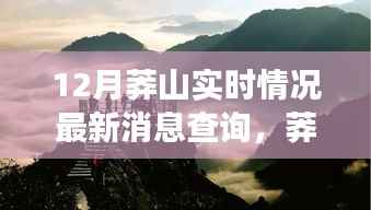 12月莽山最新實(shí)時(shí)情況，探幽尋樂(lè)，與自然共舞的快樂(lè)時(shí)光旅行日志