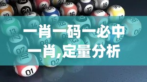 一肖一碼一必中一肖,定量分析解釋定義_投資版2.626
