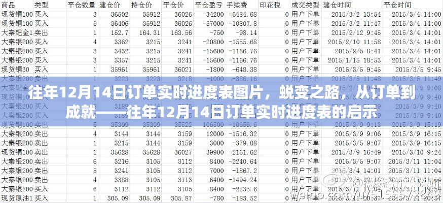 蛻變之路，往年12月14日訂單實(shí)時(shí)進(jìn)度表的啟示與成就之路圖片展示