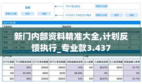 新門內(nèi)部資料精準大全,計劃反饋執(zhí)行_專業(yè)款3.437