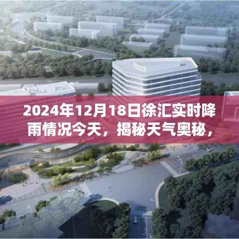 揭秘天氣奧秘，揭秘徐匯實(shí)時(shí)降雨情況（2024年12月18日）