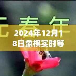 躍動(dòng)智慧之光，2024年象棋實(shí)時(shí)等級(jí)分app，開啟逆襲之旅