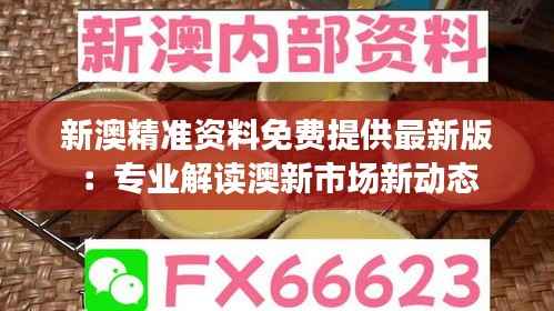 新澳精準(zhǔn)資料免費(fèi)提供最新版：專業(yè)解讀澳新市場新動態(tài)