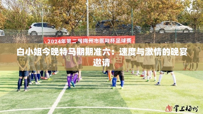 白小姐今晚特馬期期準(zhǔn)六：速度與激情的晚宴邀請(qǐng)