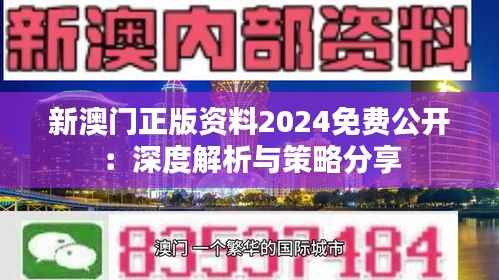 新澳門正版資料2024免費公開：深度解析與策略分享