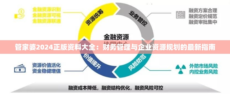管家婆2024正版資料大全：財(cái)務(wù)管理與企業(yè)資源規(guī)劃的最新指南