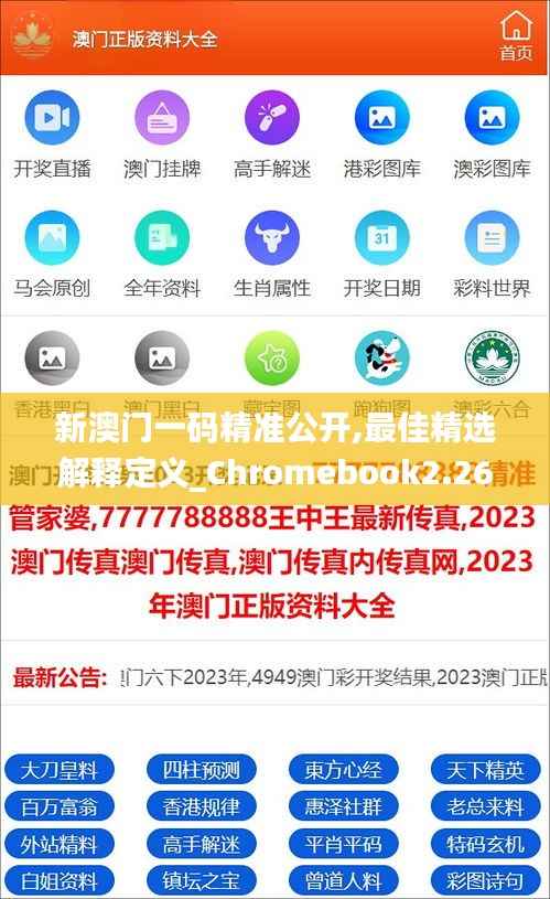 新澳門一碼精準(zhǔn)公開,最佳精選解釋定義_Chromebook2.263