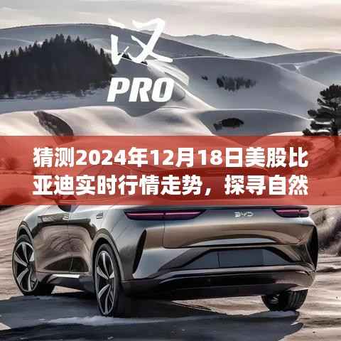 探尋自然之美與預(yù)測(cè)之旅，預(yù)測(cè)比亞迪在美股的明天與心靈寧?kù)o的探尋