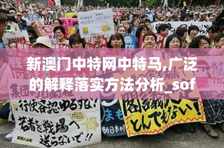 新澳門中特網(wǎng)中特馬,廣泛的解釋落實(shí)方法分析_soft6.548