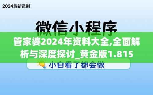 管家婆2024年資料大全,全面解析與深度探討_黃金版1.815