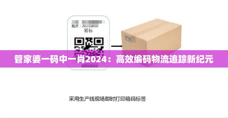 管家婆一碼中一肖2024：高效編碼物流追蹤新紀元