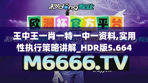 王中王一肖一特一中一資料,實用性執(zhí)行策略講解_HDR版5.664