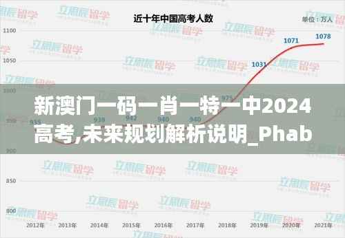 新澳門一碼一肖一特一中2024高考,未來規(guī)劃解析說明_Phablet16.702