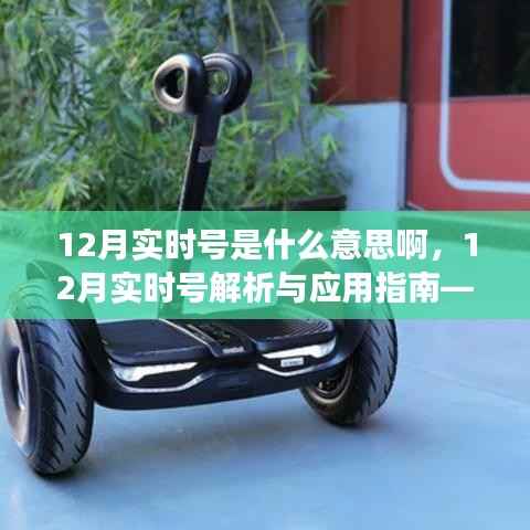 12月實時號解析與應(yīng)用指南，從初學(xué)者到進階用戶的必讀指南